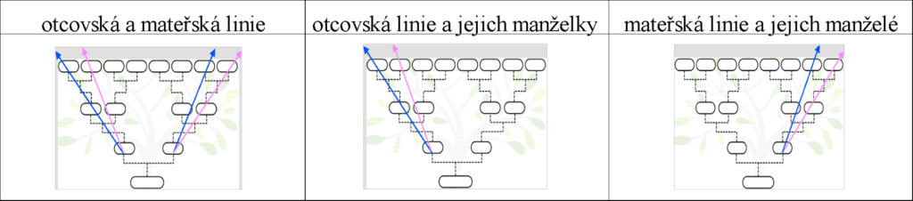 obrazkove graficke zpracovani rodokmenu, otcovská a mateřská linie